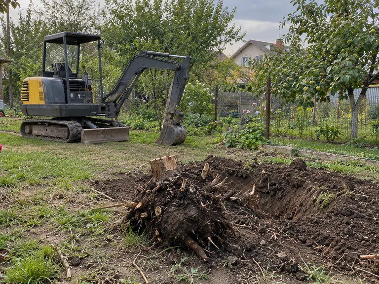 Пень с корнями и компактный экскаватор · Иллюстрация
